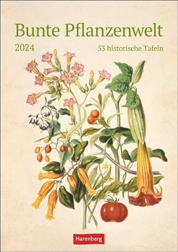 Bunte Pflanzenwelt Wochenplaner 2024. 53 historische Tafeln zum Bestaunen in einem Wandkalender 2024 zum Eintragen. Kalender für Pflanzenfreunde und Kunstbegeisterte: 53 historische Tafeln