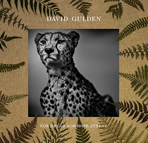 David Gulden: Nor Dread Nor Hope Attend: Photographs From The Plains of Africa