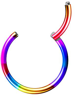 Piersando Universal Piercing Segmentring Septum für Tragus Helix Ohr Nase Lippe Brust Intim Scharnier Clicker Ring Chirurgenstahl Rainbow 2,4mm x 12mm