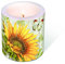 1 Kerze Vintage Sonnenblume Durchm. 9 cm/Höhe 10 cm, verpackt in Klarsichtfolie
