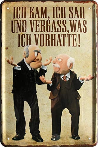 WOGEKA ART Blechschild - Metallschild 20x30 cm – Lustiger Spruch „Ich kam, sah und vergaß, was ich wollte“ – Retro Vintage Wanddeko – Geschenkidee – Deko Schild für die Küche, Büro oder die Garage 601