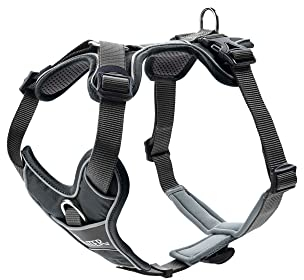 HUNTER DIVO Hundegeschirr, M, 56-73 cm, grau/grau