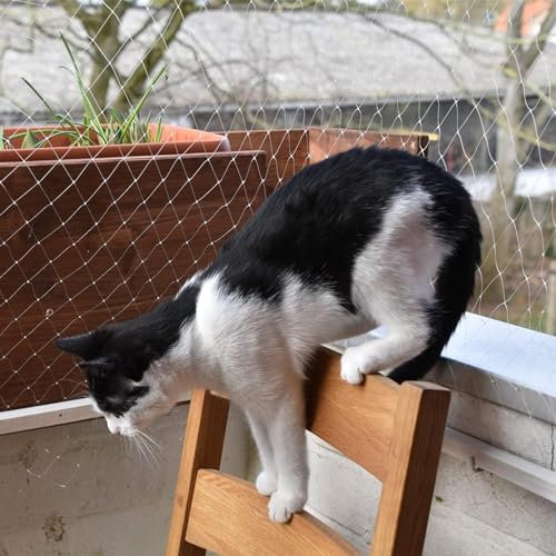Oracra Vogelschutznetz Heimfensternetzbarriere für Katzenhund, Leichtes Kirschbaum Gemüsegarten Anti -Vogel -Netz, Weiße Pflanzengitterabdeckungen für Die Obstgartenfarm (Size : 30x20m/98x66ft)