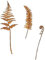 DOSERTY Rusty Stake Farne Blätter Statue Baum Mit Realistischen Verrosteten Blättern Für Die Verbesserung Der Und Garten Parterre