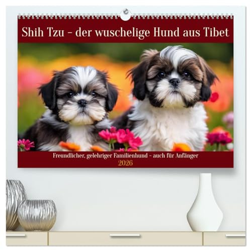 Shih Tzu - der wuschelige Hund aus Tibet (hochwertiger Premium Wandkalender 2026 DIN A2 quer), Kunstdruck in Hochglanz: Freundlicher, gelehriger Familienhund - auch für Anfänger (CALVENDO Orte)