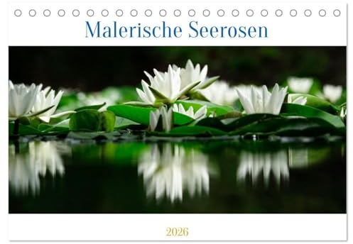 Malerische Seerosen (Tischkalender 2026 DIN A5 quer), CALVENDO Monatskalender: Malerische, schöne Seerosen in freier Natur (CALVENDO Natur)