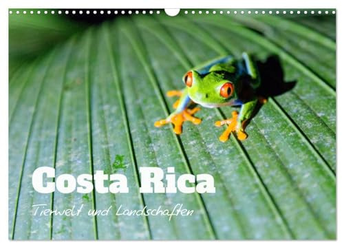 Costa Rica - Tierwelt und Landschaften (Wandkalender 2026 DIN A3 quer), CALVENDO Monatskalender: Bunte Naturwunder aus Mittelamerika (CALVENDO Natur)