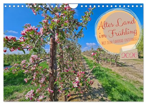 Altes Land im Frühling - Mit dem Fahrrad unterwegs (Wandkalender 2026 DIN A4 quer), CALVENDO Monatskalender: Baumblüte im alten Land (CALVENDO Orte)