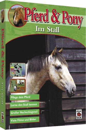 Pferd & Pony: Im Stall