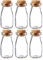 Danmu Art100ml Mini Glass Jars with Cork Stoppers Milk Glass Bottles Small Favor Jars Yogurt Pudding Storage Jar for Party Favors (100ml-6Pack)