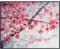 LCDIUDIU Acrylbilder Auf Leinwand Handgemalt, Rosa Textur Kirschblüte Blume Zweig Landschaft Abstrakt Modern Original Handgemalte Ölgemälde Auf Leinwand Für Familie Wand Wohnzimmer Esszimmer Home AR