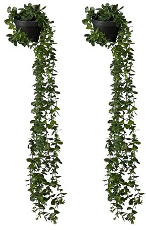 Relaxdays künstliche Hängepflanzen im 2er Set, hängende Kunstpflanzen im Topf, Kunsteukalyptus wie echt, grün/schwarz