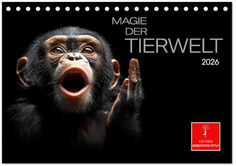 Magie der Tierwelt (Tischkalender 2026 DIN A5 quer), CALVENDO Monatskalender: Erleben Sie die zeitlose Schönheit der Natur - pur, authentisch und magisch. (CALVENDO Tiere)