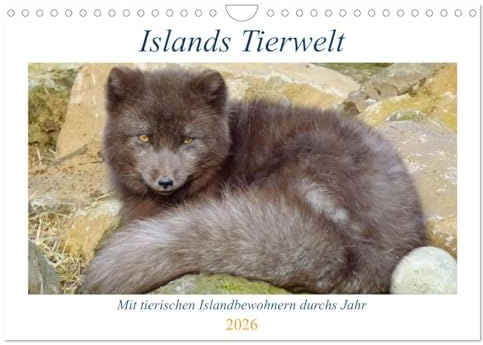 Islands Tierwelt - Mit tierischen Inselbewohnern durchs Jahr (Wandkalender 2026 DIN A4 quer), CALVENDO Monatskalender: Typische isländische Tiere begleiten durchs Jahr. (CALVENDO Tiere)