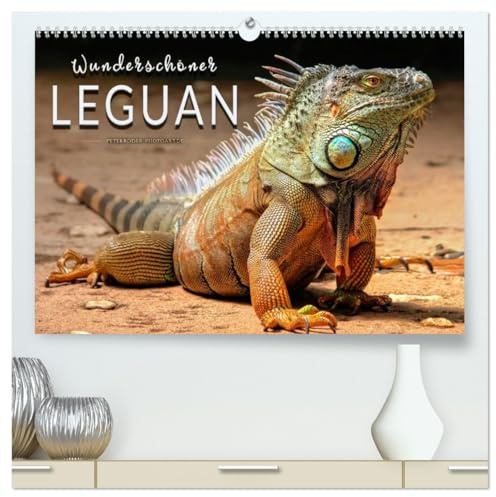Wunderschöner Leguan (hochwertiger Premium Wandkalender 2026 DIN A2 quer), Kunstdruck in Hochglanz: Eindrucksvolle Bilder der imposanten Schuppenkriechtiere. (CALVENDO Tiere)