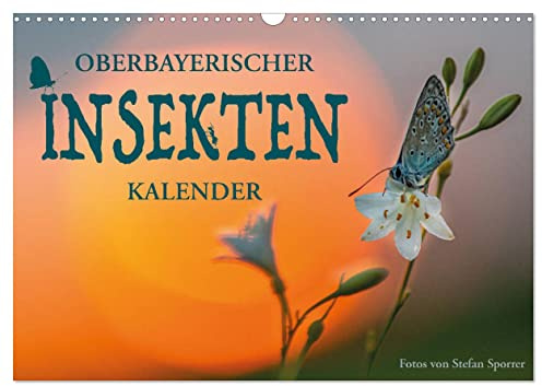 Oberbayerischer Insekten Kalender (Wandkalender 2026 DIN A3 quer), CALVENDO Monatskalender: Wie sechsbeinige Zweiflügler die Fantasie beflügeln (CALVENDO Tiere)