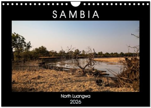 Sambia Das wirkliche Afrika (Wandkalender 2026 DIN A4 quer), CALVENDO Monatskalender: North Luangwa ein wildes Naturerlebnis. (CALVENDO Natur)