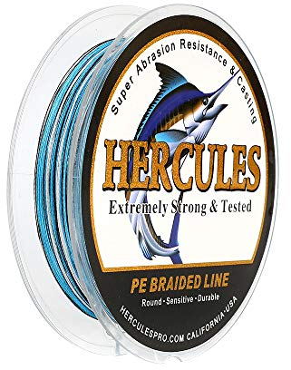 Hercules Super Strong 300M 328 Yards Braided Fishing Line 30 LB Test for Saltwater Freshwater PE Braid Fish Lines 4 Strands - Blue Camo, 30LB (13.6KG), 0.28MM
