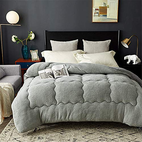TIUTIU Bettdecke Baumwolle Winter - Winter Warmer Lamm Samtkern, Dicker Warmer Plüsch - Plus Samtkern Steppdecke Wintersteppdecke (2,180 * 210cm - 3kg)