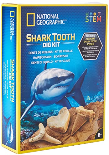 Bandai National Geographic-Kit di ispezione-3 fossili di Denti di squalo da estrarre-Gioco scientifico educativo-STEM-JM80560M, Multicolore, Medio, JM80560M