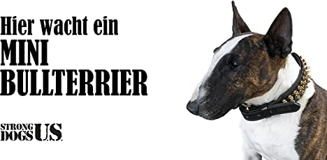 Strong Dogs US. /Hundeschild Warnschild Achtung Hier wache ich/Hinweisschild Gartentor Gartenzaun - Türschild Haustüre Warnschild/Abschreckung Einbruchschutz (Mini Bullterrier)