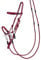 QHP Knotenhalfter-Set Multifunktion (Warmblut, Bordeauxrot)