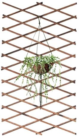 Jardín de enrejado de madera, valla de sauce, paneles de valla de rejilla, placa expandible de madera, soporte para plantas de sauce, soporte para plantas de sauce para plantas, vides y verduras