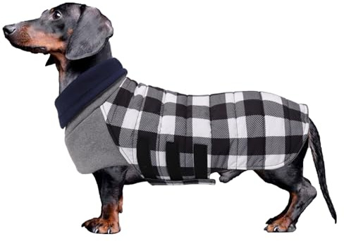 Geyecete Dackel Mantel Winter, Warmer Hunde wintermantel,wasserdichter Hundemantel mit Leinenloch,Hundepullover Hundemantel für kleine Hunde Dackel-schwarz-M