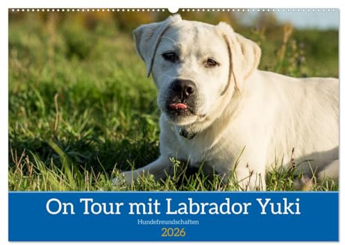 On Tour mit Labrador Yuki (Wandkalender 2026 DIN A2 quer), CALVENDO Monatskalender: Der junge Yuki trifft seine besten Freunde, dabei spielen weder Rasse, Alter noch Größe eine Rolle. (CALVENDO Tiere)