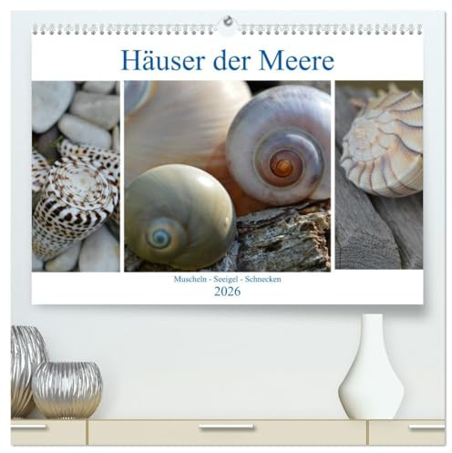 Häuser der Meere: Muscheln - Seeigel - Schnecken (hochwertiger Premium Wandkalender 2026 DIN A2 quer), Kunstdruck in Hochglanz: Sammelobjekte aus Sand und Meer (CALVENDO Tiere)