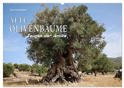 ALTE OLIVENBÄUME Zeugen der Antike (Wandkalender 2026 DIN A2 quer), CALVENDO Monatskalender: Alte Olivenbäume, Zeugen vergangener Zeiten. (CALVENDO Natur)