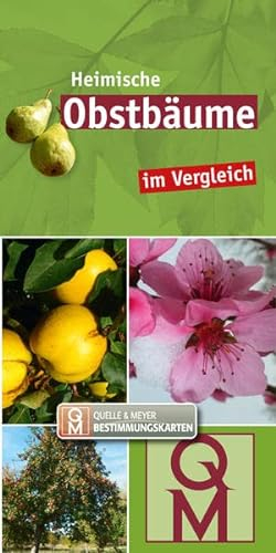 Heimische Obstbäume: schnell erkennen (Quelle & Meyer Bestimmungskarten)