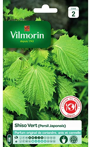 Vilmorin - Pacchetto di semi di Shiso verde (prezzemolo giapponese)