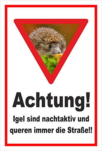 Melis-Folienwerkstatt Schild Igel - nachtaktiv - Straße - 60x40cm - Bohrlöcher - 3mm Aluverbund – 20 VAR S00359-156-B