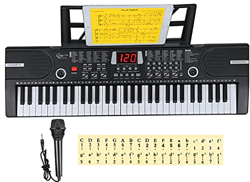 Hricane Kinder home-keyboards mit begleitautomatik, 61 Tasten Keyboard Piano mit Mikrofon für Anfänger Jungen Mädchen, elektrisches klavier e Pianos, Schwarz HEP-612S