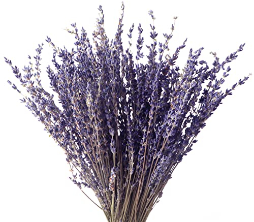 Lavanda Lía Ramos de Flores Naturales de Lavanda Naturales para decoración Ramos de Lavanda del Hogar Regalo Oficina Dormitorio Boda o Cualquier Ocasión Decoración,100g