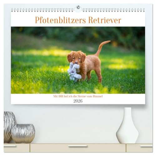 Retriever - Mit DIR hol ich die Sterne vom Himmel (hochwertiger Premium Wandkalender 2026 DIN A2 quer), Kunstdruck in Hochglanz: Sie sind ... die Sterne vom Himmel holen! (CALVENDO Tiere)