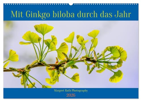Mit Ginkgo biloba durch das Jahr (Wandkalender 2026 DIN A2 quer), CALVENDO Monatskalender: Mit seinen einzigartigen, fächerförmigen Blättern ist der ... und Gärten eine Augenweide. (CALVENDO Natur)
