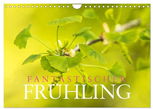 Fantastischer Frühling (Wandkalender 2026 DIN A4 quer), CALVENDO Monatskalender: Der vielfältige und bunte Neubeginn unserer Natur. (CALVENDO Kunst)