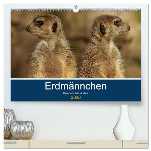 Erdmännchen - Zusammen sind wir stark (hochwertiger Premium Wandkalender 2026 DIN A2 quer), Kunstdruck in Hochglanz: Bilder vom Erdmännchen-Alltag (CALVENDO Tiere)