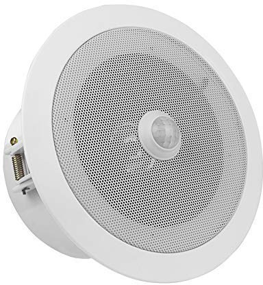 Overhead PIR Motion Sensor Activated Audio Player