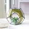 Glas Geometrisches Terrarium, Geometrische Form Glas Blumentopf Sukkulenten Pflanze Pflanzgefäß Container Landschaft Dekoration (Keine Pflanzen enthalten)