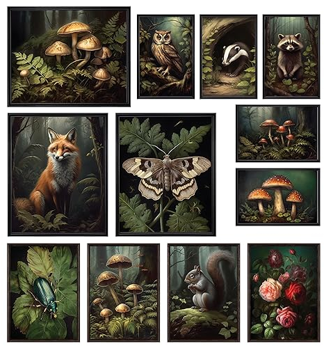 97 Decor Cottagecore Raumdekor Ästhetisch – Cottage Core Wanddekoration, dunkles Cottagecore Dekor, Vintage botanischer Wandkunstdruck, Naturpilz-Poster, Tierbilder für Schlafzimmerdekorationen