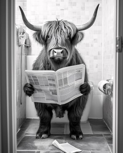 Hochlandrind auf WC, Poster 40cm x 50cm ohne Rahmen, Toilette Badezimmer Deko Bild, Wand-Deko Bilder Lustiges Geschenk
