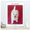 Der Westie - Portrait eines West Highland White Terriers (hochwertiger Premium Wandkalender 2025 DIN A2 hoch), Kunstdruck in Hochglanz: Wunderschöne ... kurz Westie genannt wird. (CALVENDO Tiere)