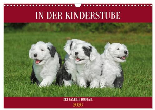 In der Kinderstube bei Familie Bobtail (Wandkalender 2026 DIN A3 quer), CALVENDO Monatskalender: Einblicke in die Bobtail-Kinderstube auf 12 bezaubernden Bildern (CALVENDO Tiere)