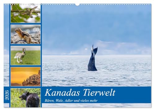 Kanadas Tierwelt - Bären, Wale und vieles mehr (Wandkalender 2026 DIN A2 quer), CALVENDO Monatskalender: Kanadas faszinierende Tierwelt, eine unvergessliche Reise (CALVENDO Natur)