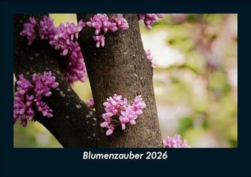 Blumenzauber 2026 Fotokalender DIN A5: Monatskalender mit Bild-Motiven aus Fauna und Flora, Natur, Blumen und Pflanzen