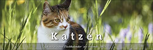Tischkalender Katzen 2023: Terminplaner mit Fotografien und Zitaten