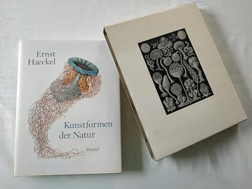 Kunstformen der Natur